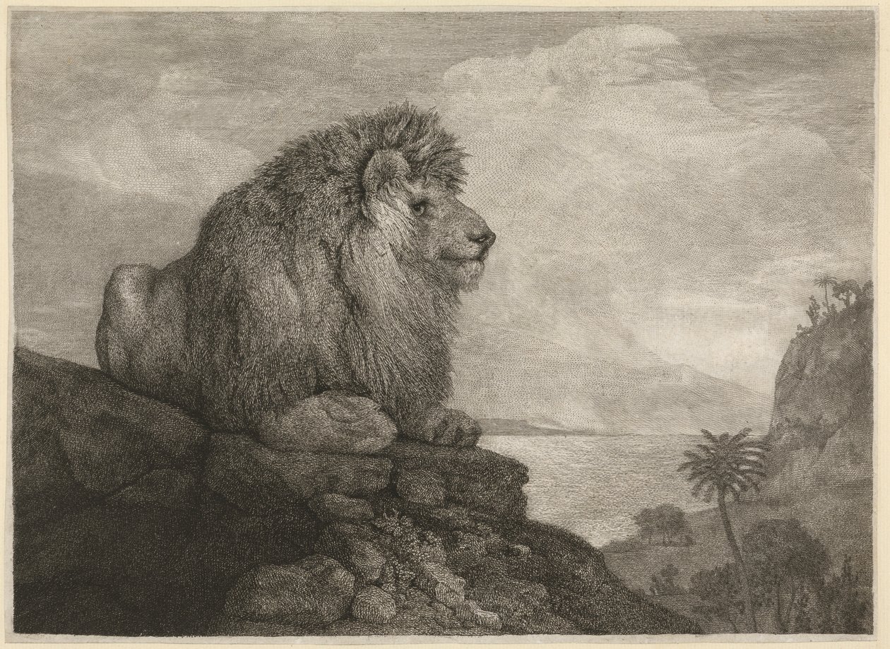 Aslan [Kayanın Üzerinde Dinlenen Aslan] by George Stubbs