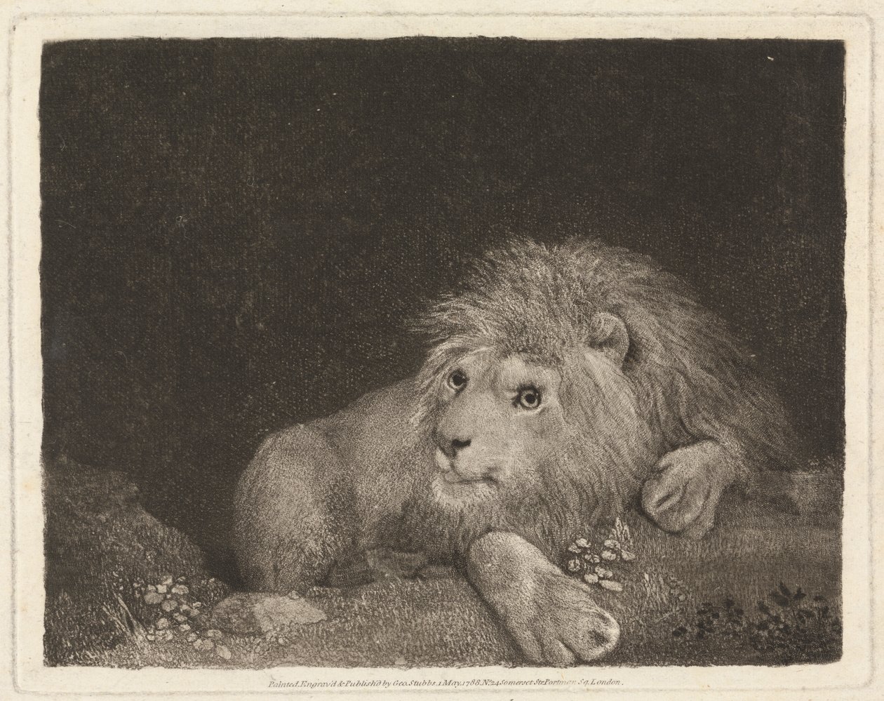 Aslan [Yaslanmış Aslan] by George Stubbs