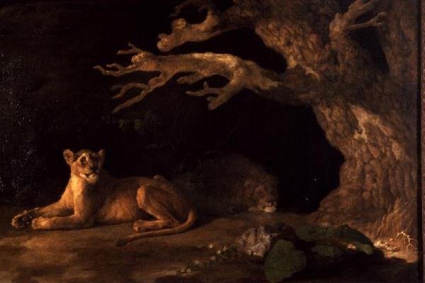Bir aslan ve bir dişi aslan by George Stubbs