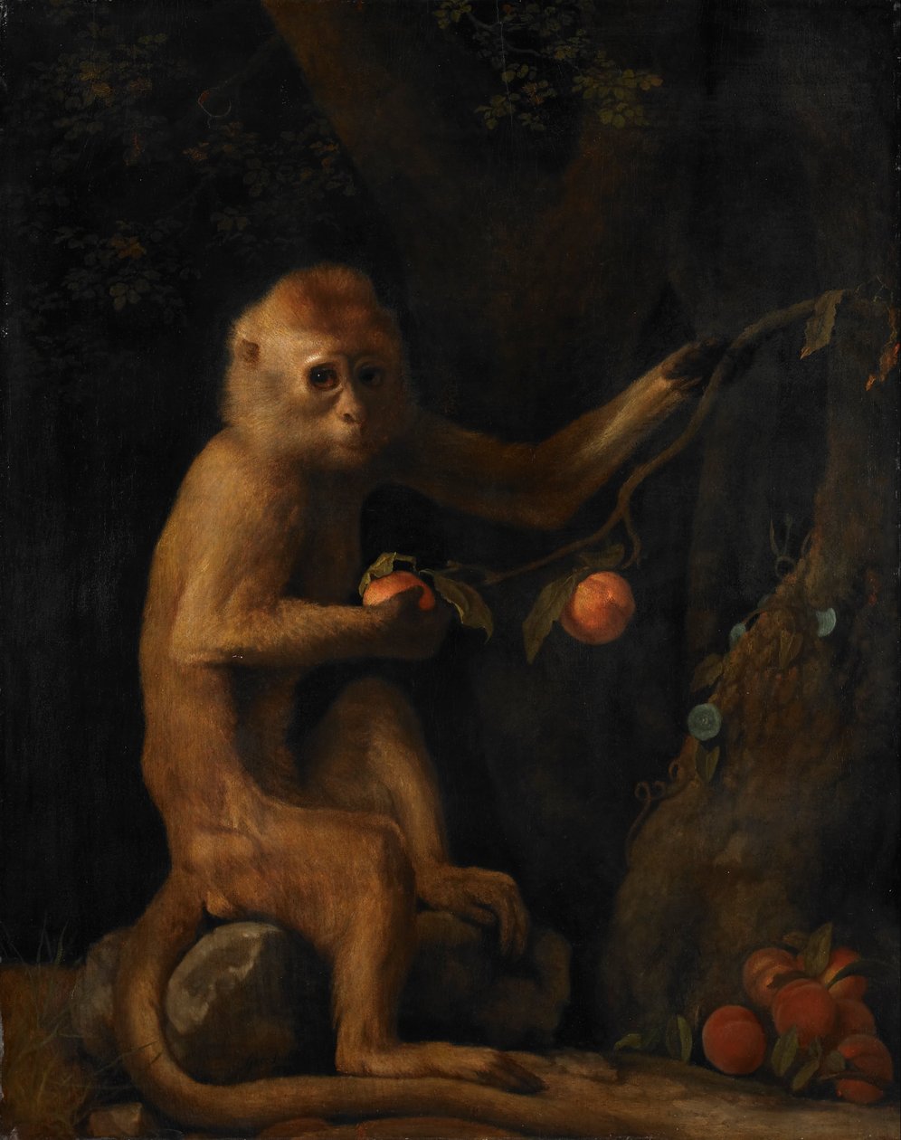 Bir Maymun by George Stubbs
