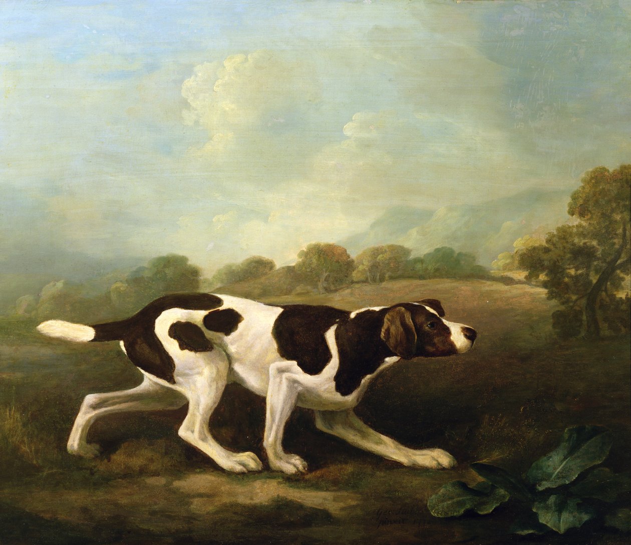 A İşaretçi (tuval üzerine yağlı boya) (çifti için bkz. 266117) by George Stubbs