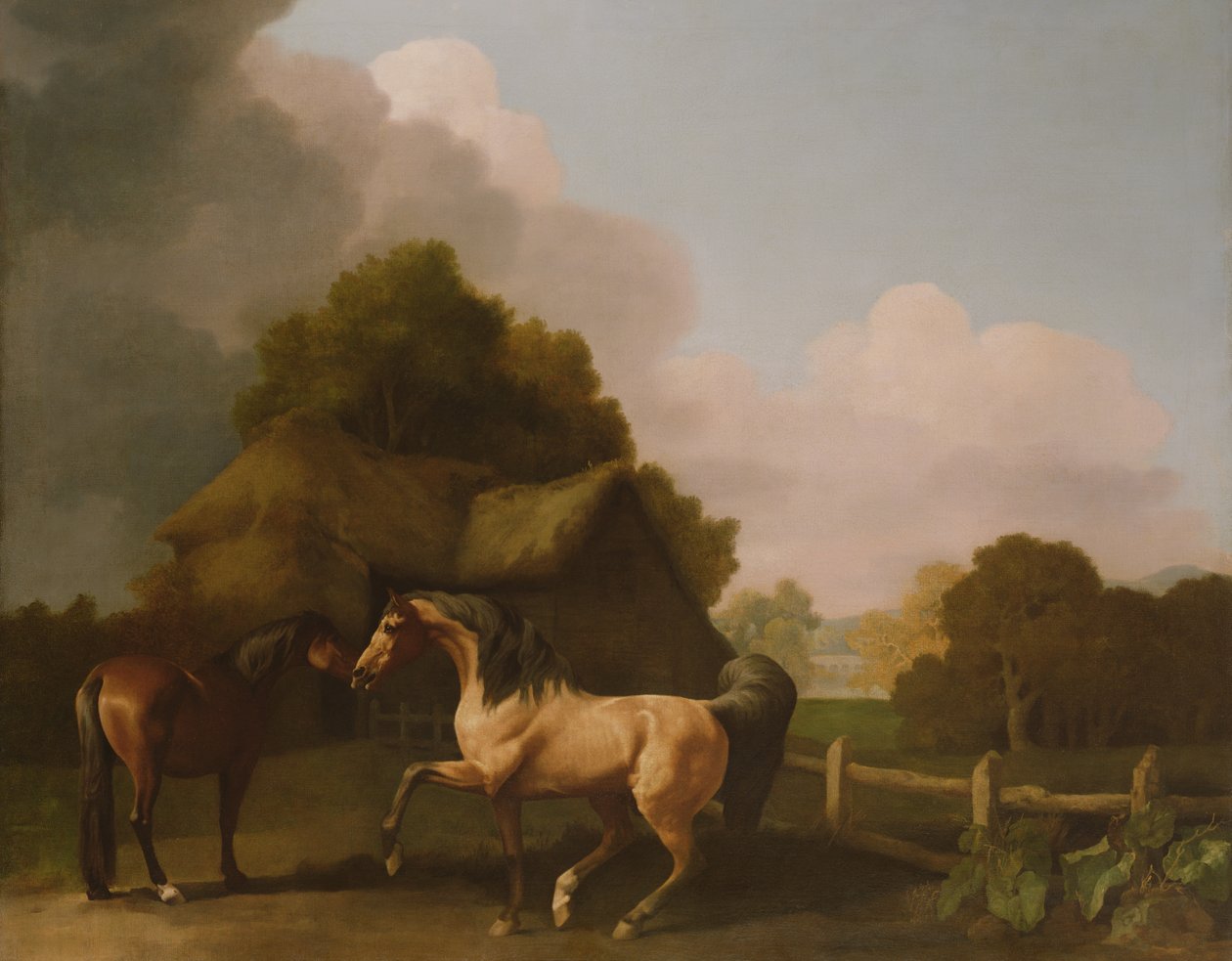 Bir Roan Aygırı ve Bir Körfez Kısrağı by George Stubbs