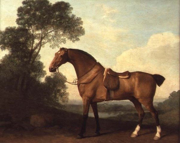 Ötesinde Gölü Olan Bir Manzarada Saddled Bay Avcısı by George Stubbs
