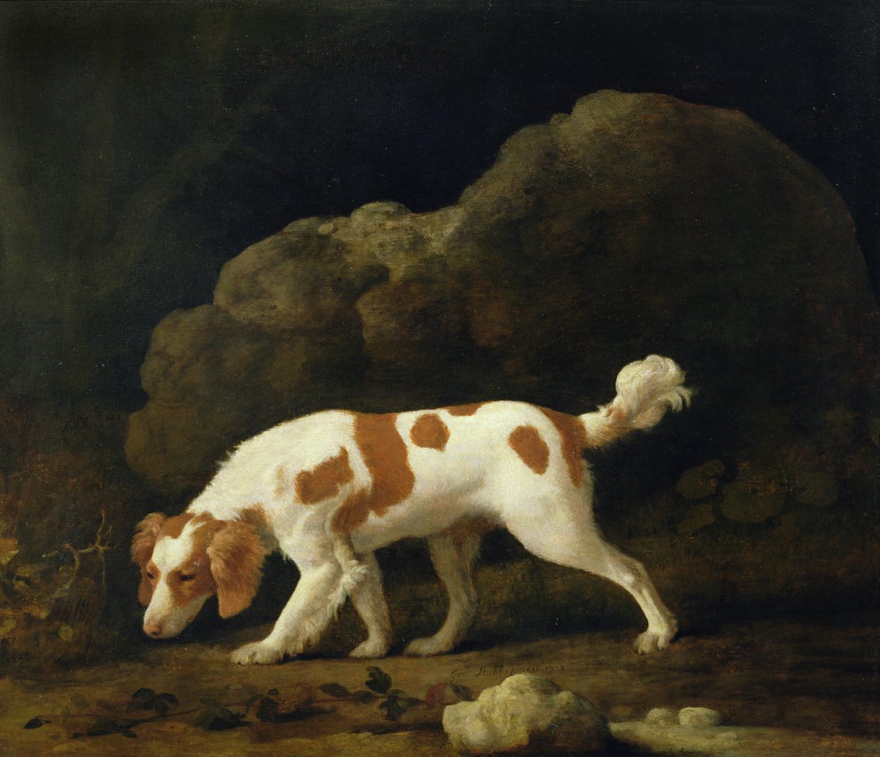 Bir Spaniel (tuval üzerine yağlı boya) (çifti için bkz. 266116) by George Stubbs