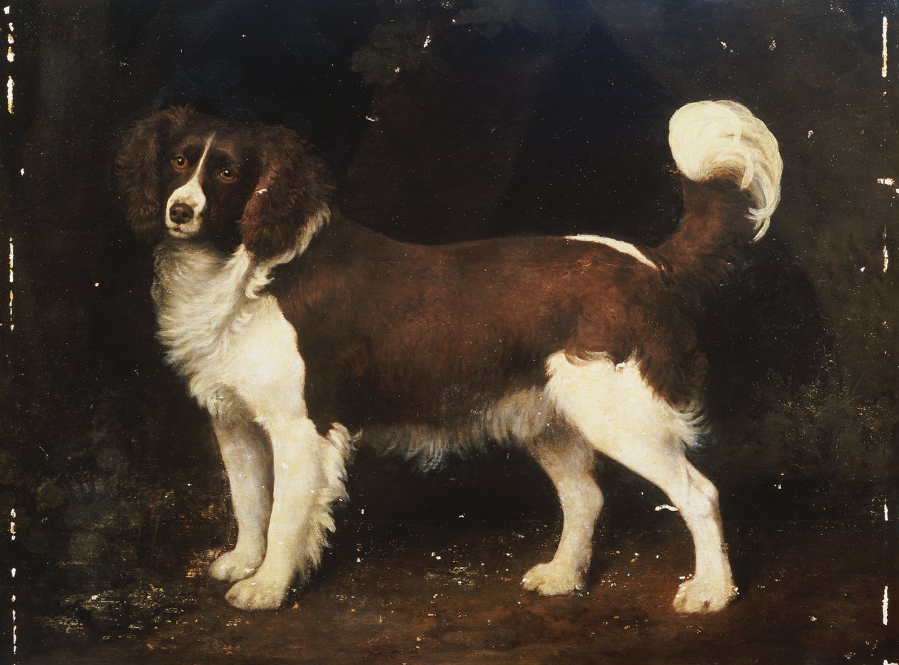 Manzarada Bir İspanyol, 1784 by George Stubbs