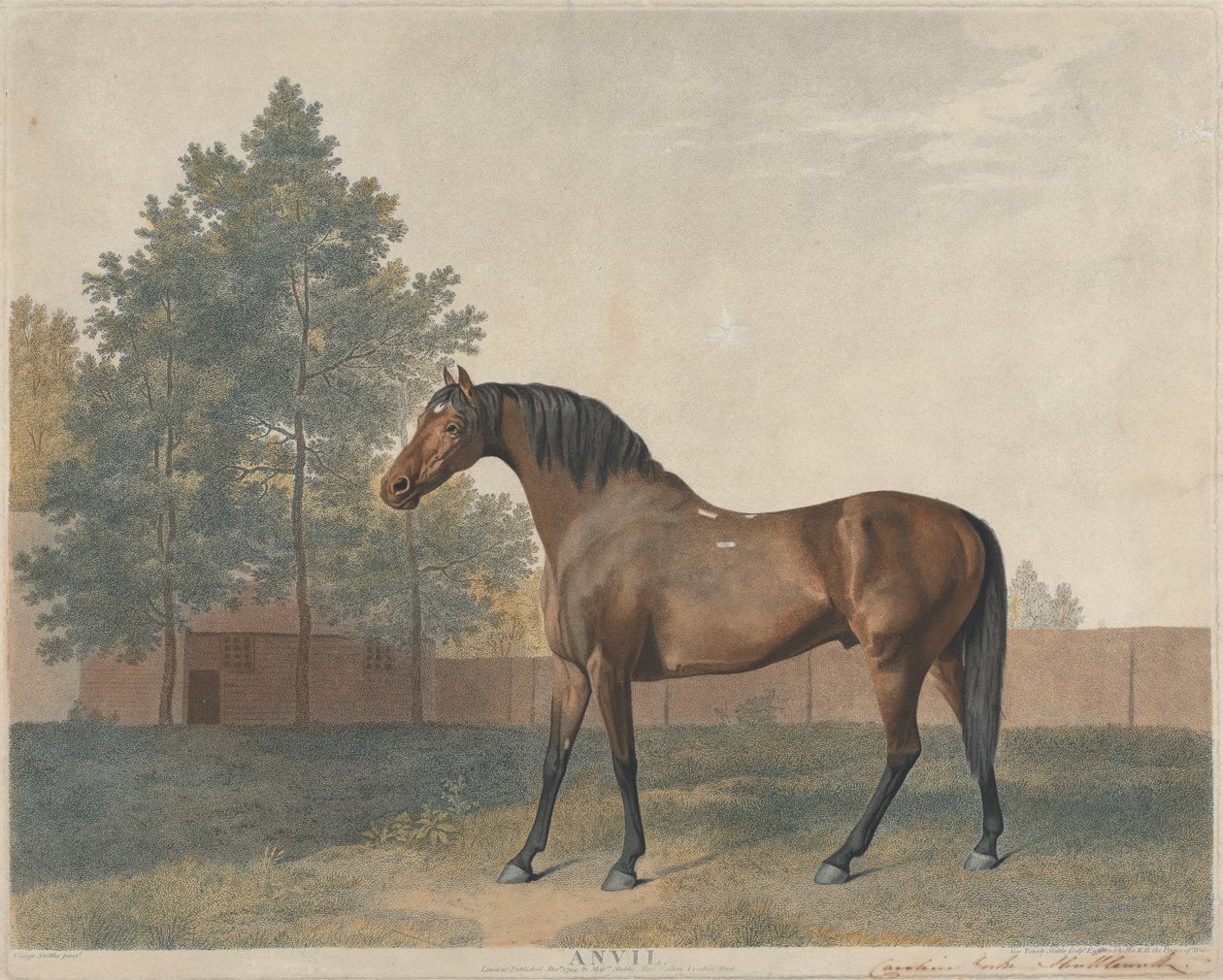 "Örs" by George Stubbs