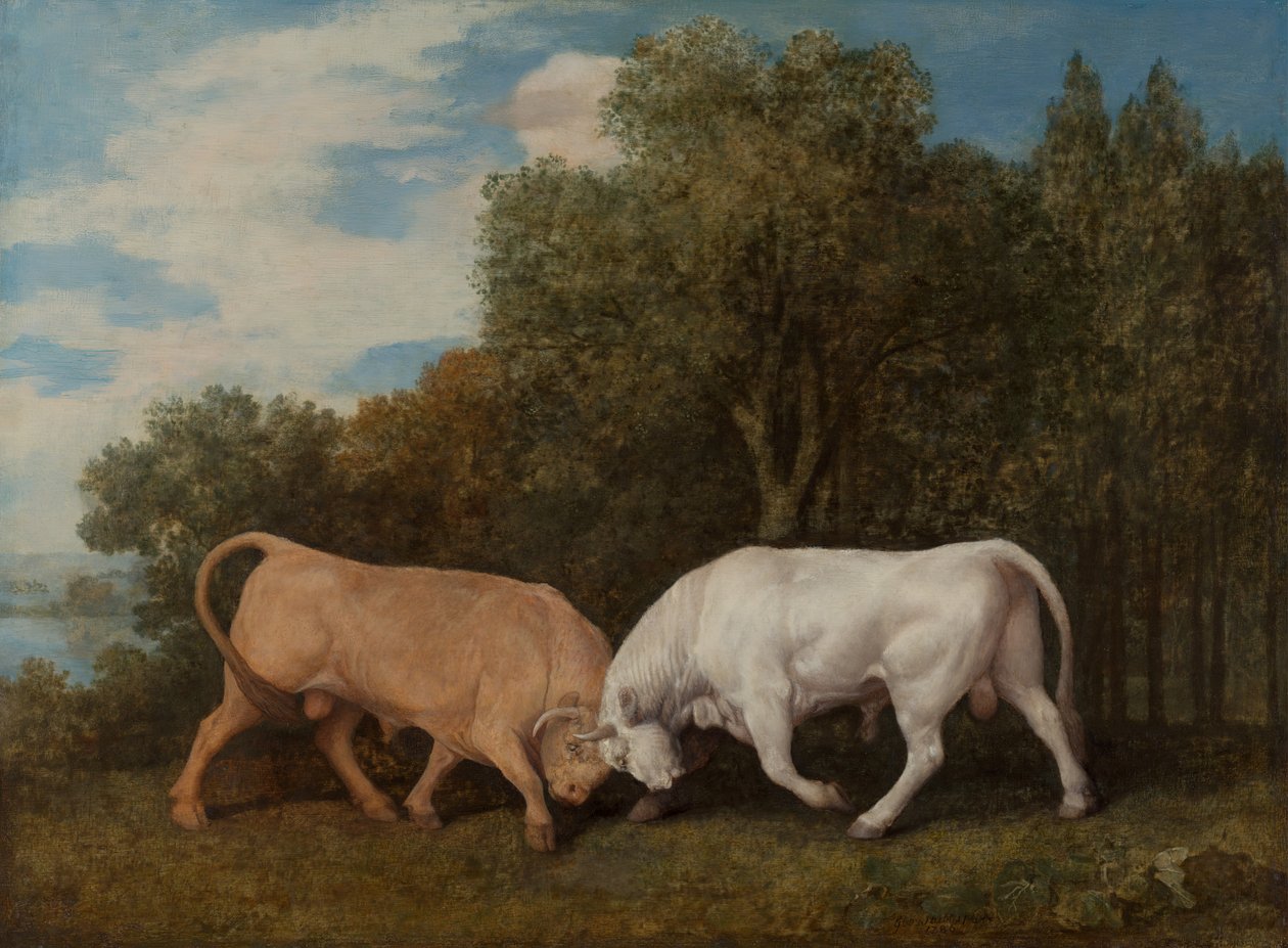 Boğa Dövüşü, 1786. by George Stubbs