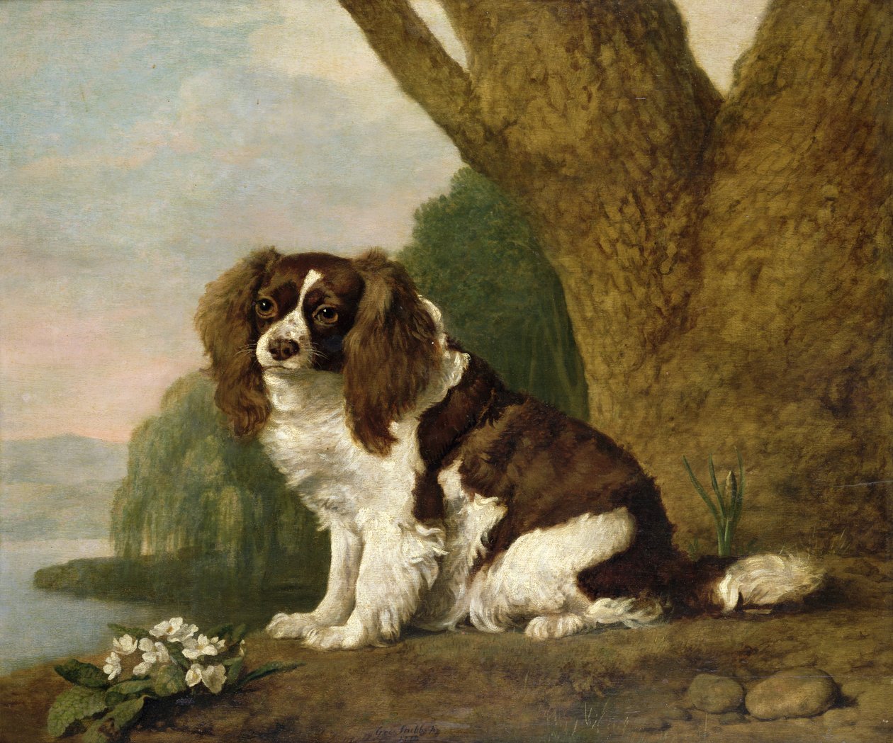 Fanny, kahverengi ve beyaz bir İspanyol by George Stubbs