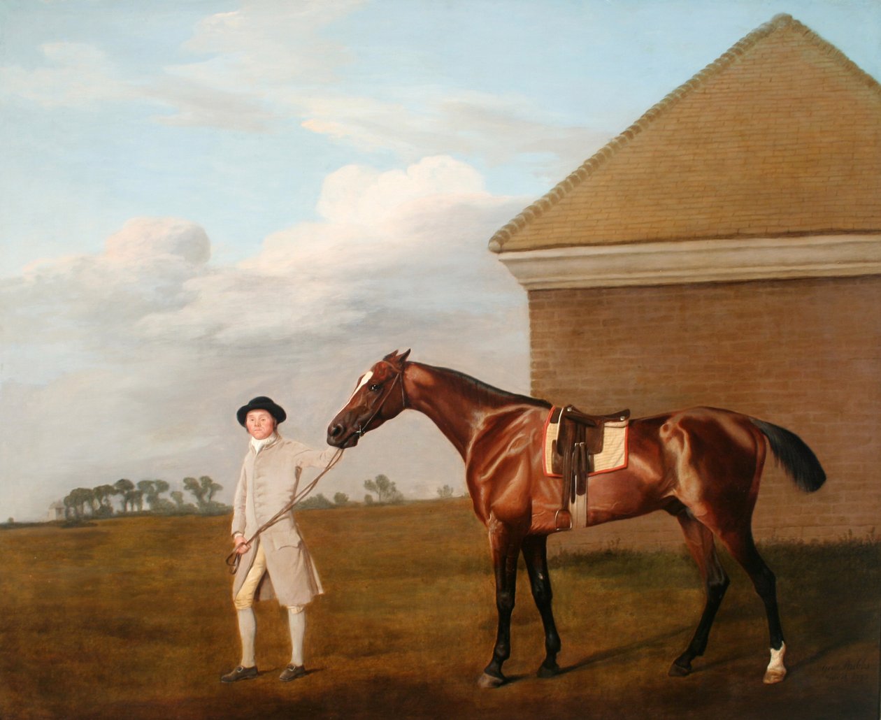 Newmarket Heath