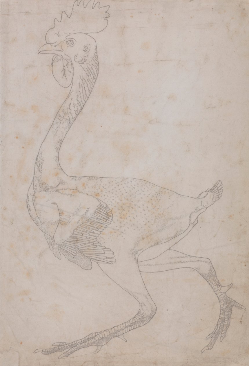 Kanatlı Gövdesi, Yandan Görünüm (Muhtemelen Anahtar Figürü Tablo X'e Oymak İçin Plakaya Aktarılmak Üzere Hazırlanmıştır) by George Stubbs