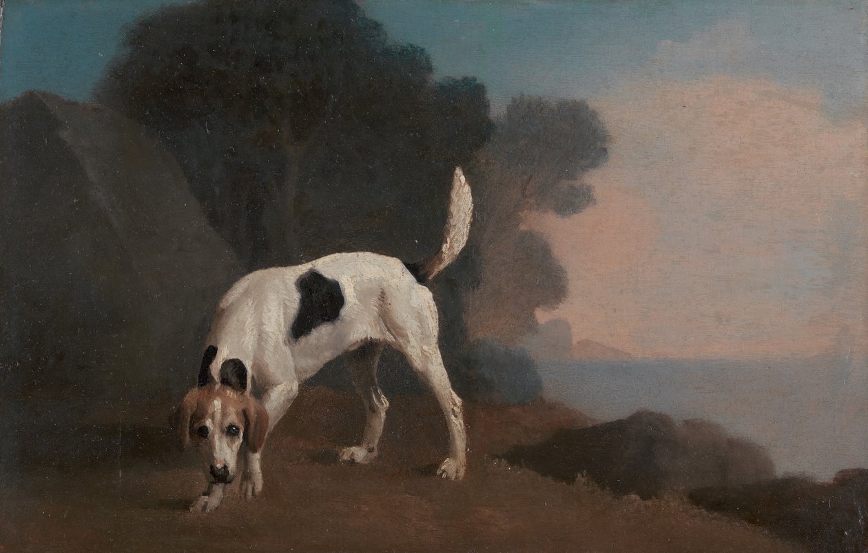 Foxhound, Kokudaki Foxhound, ca. 1760. by George Stubbs