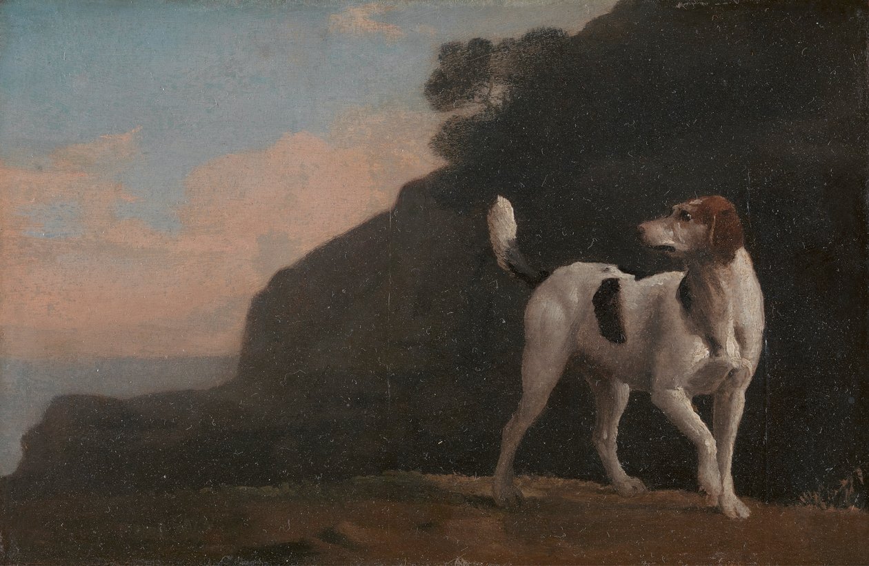 Tilki Tazısı by George Stubbs