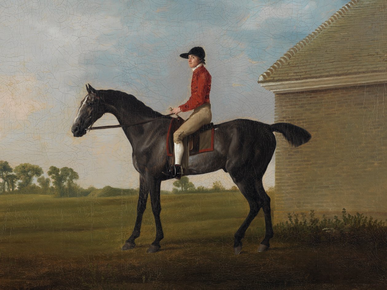 Gimcrack, John Pratt ile birlikte, Newmarket Heath'te, 1795 by George Stubbs