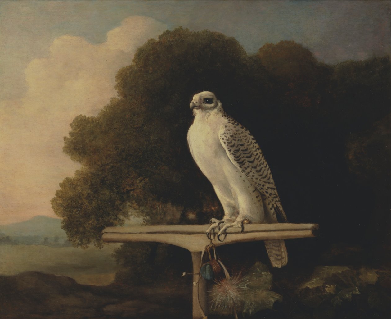Grönland Şahini by George Stubbs