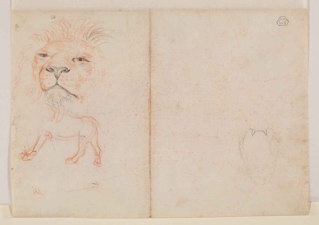 Aslan başı, verso, 18. veya 19. yüzyıl by George Stubbs