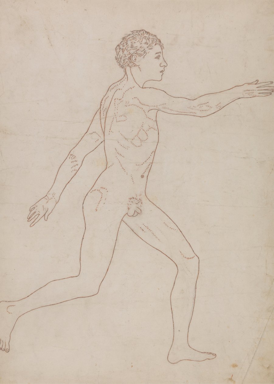 İnsan Figürü, Yandan Görünüm (Tablo VIII'in Tersinden Anahat Çalışması) by George Stubbs