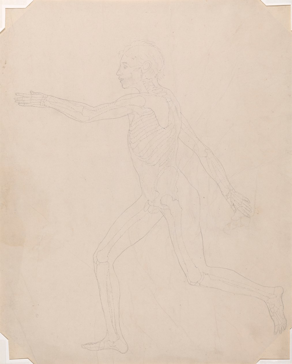 İnsan Figürü, Yandan Görünüm by George Stubbs