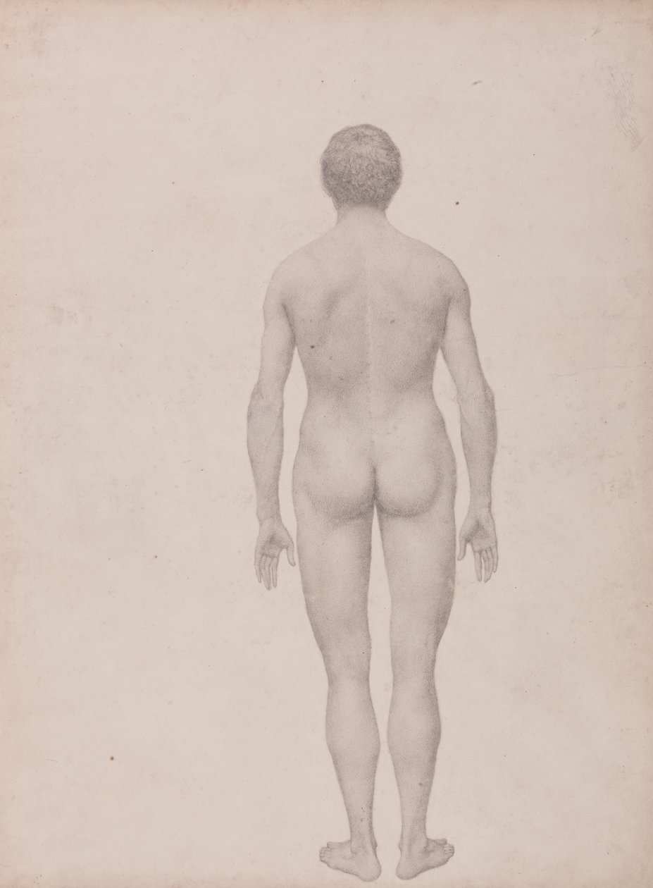 İnsan Figürü, Arkadan Görünüm, Kesilmemiş (Tablo VII için Çalışma Bitmiş) by George Stubbs