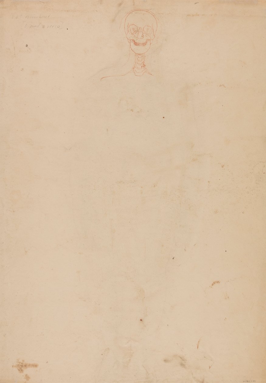 insan iskeleti, önden bakış by George Stubbs