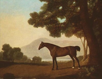 "Johnny", ormanlık bir arazide bir defne aygırı by George Stubbs