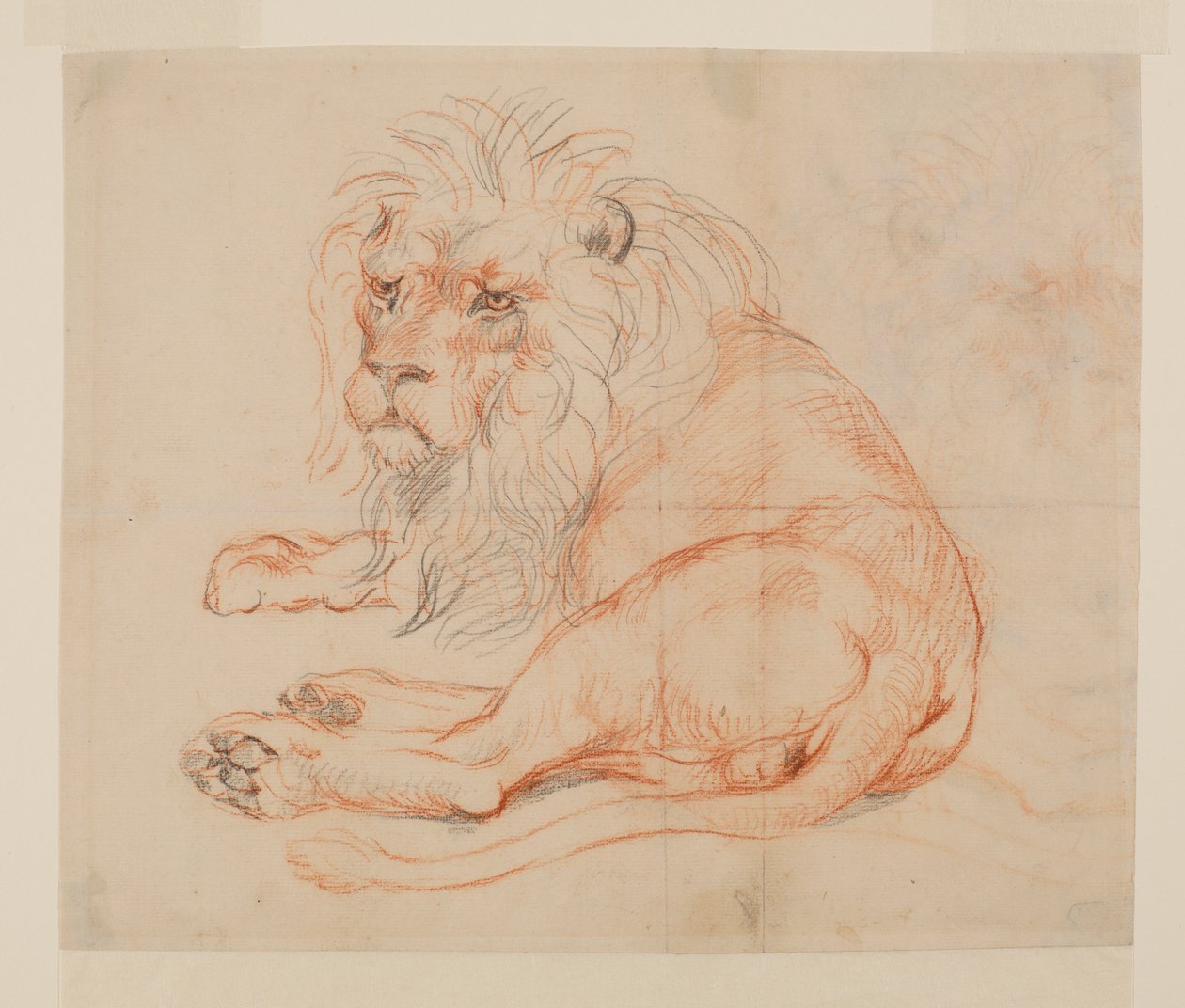Dinlenme aslan, recto, 18. veya 19. yüzyıl by George Stubbs
