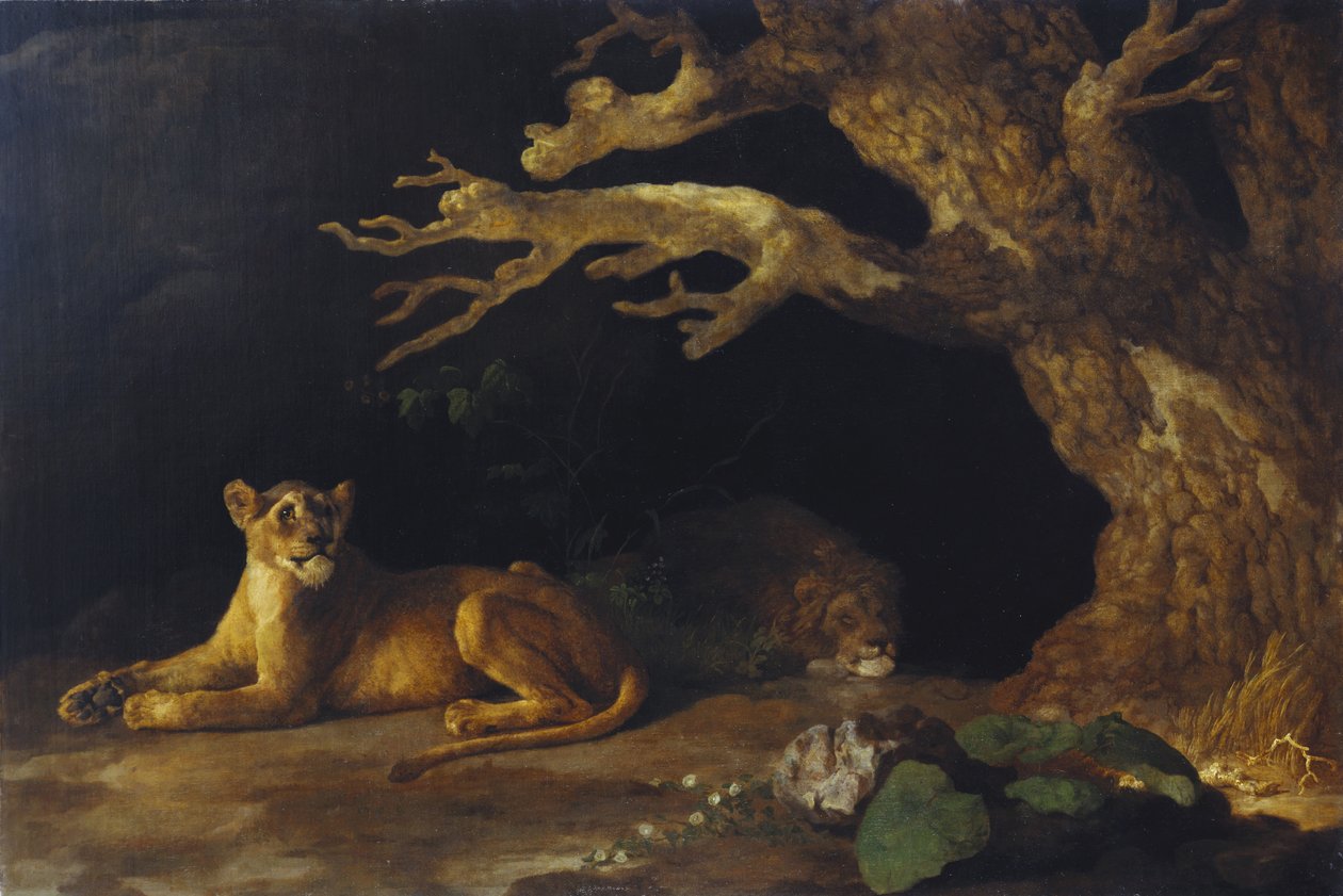 dişi aslan ve mağara by George Stubbs
