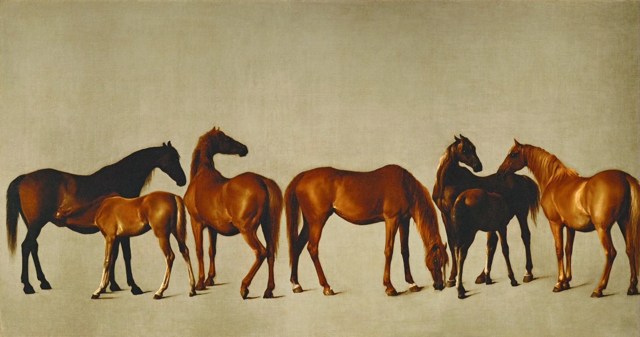 Kısraklar ve Taylar (tuval üzerine yağlıboya) by George Stubbs