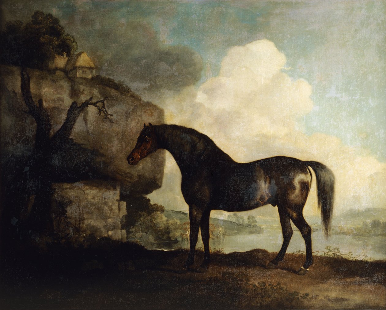 Marske" by George Stubbs