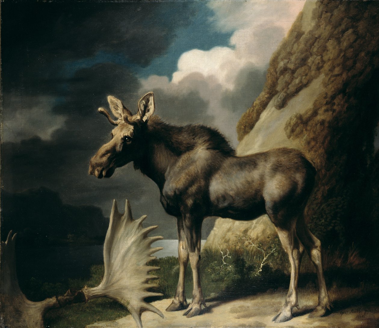 Geyik, 1770 by George Stubbs