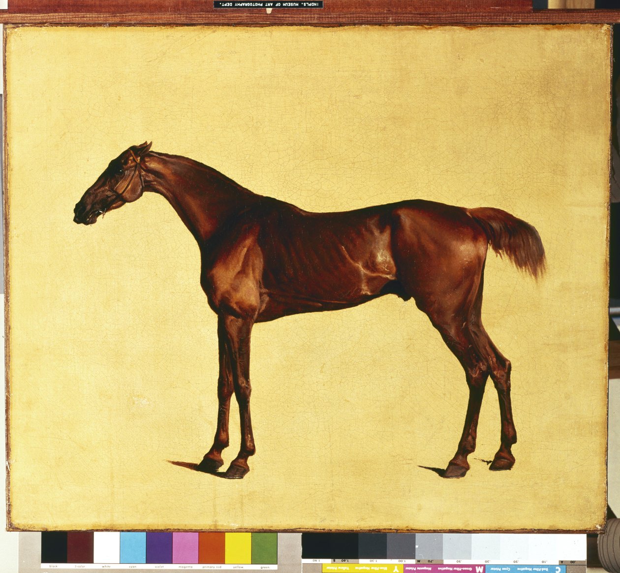 Pangloss (tuval üzerine yağlıboya) by George Stubbs