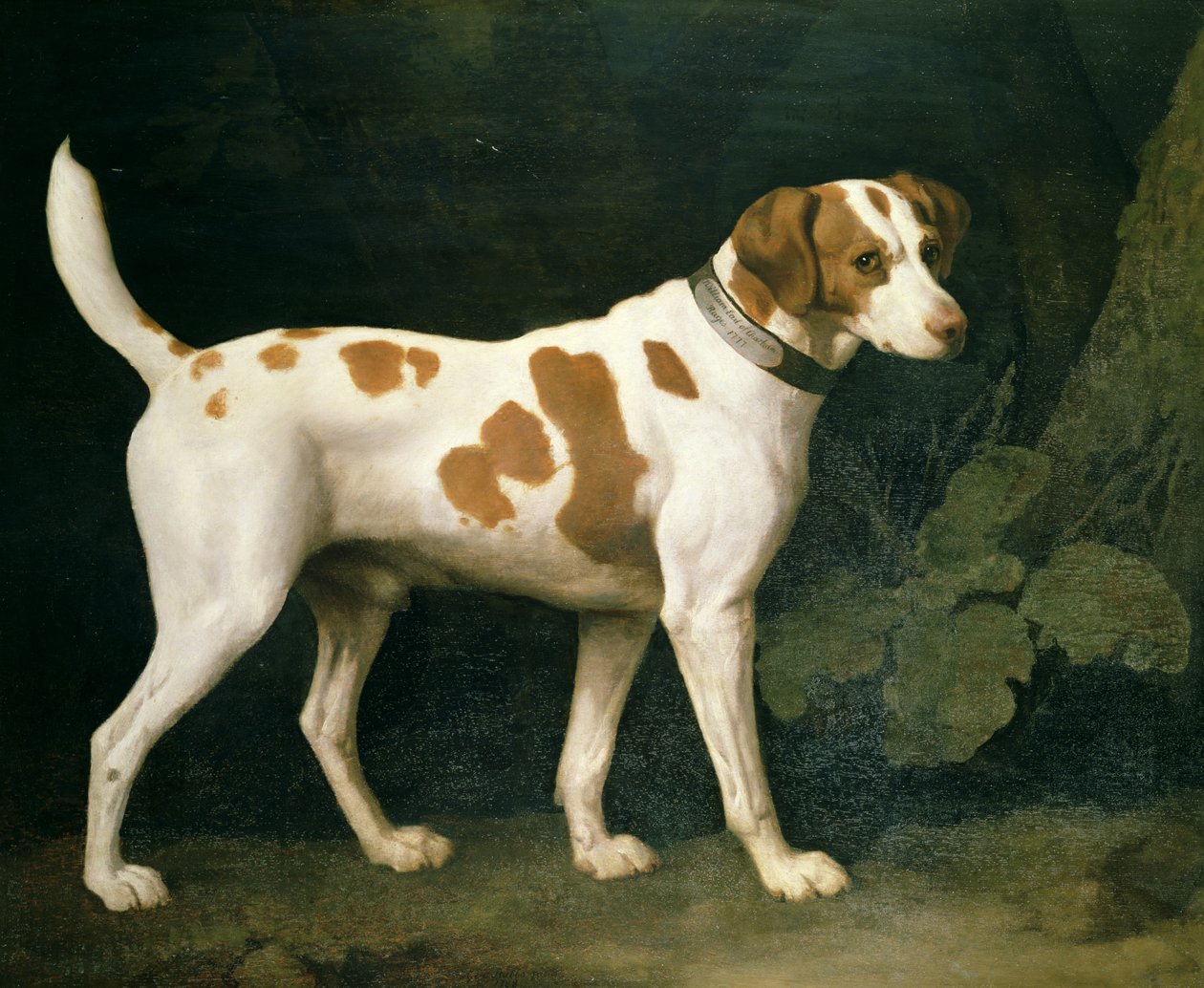 William Pitt