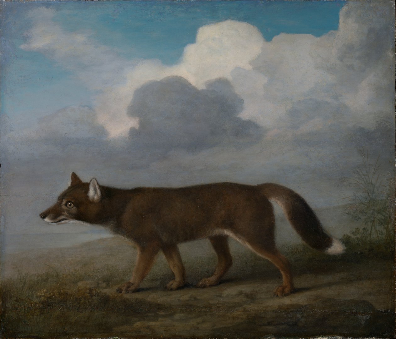  by George Stubbs