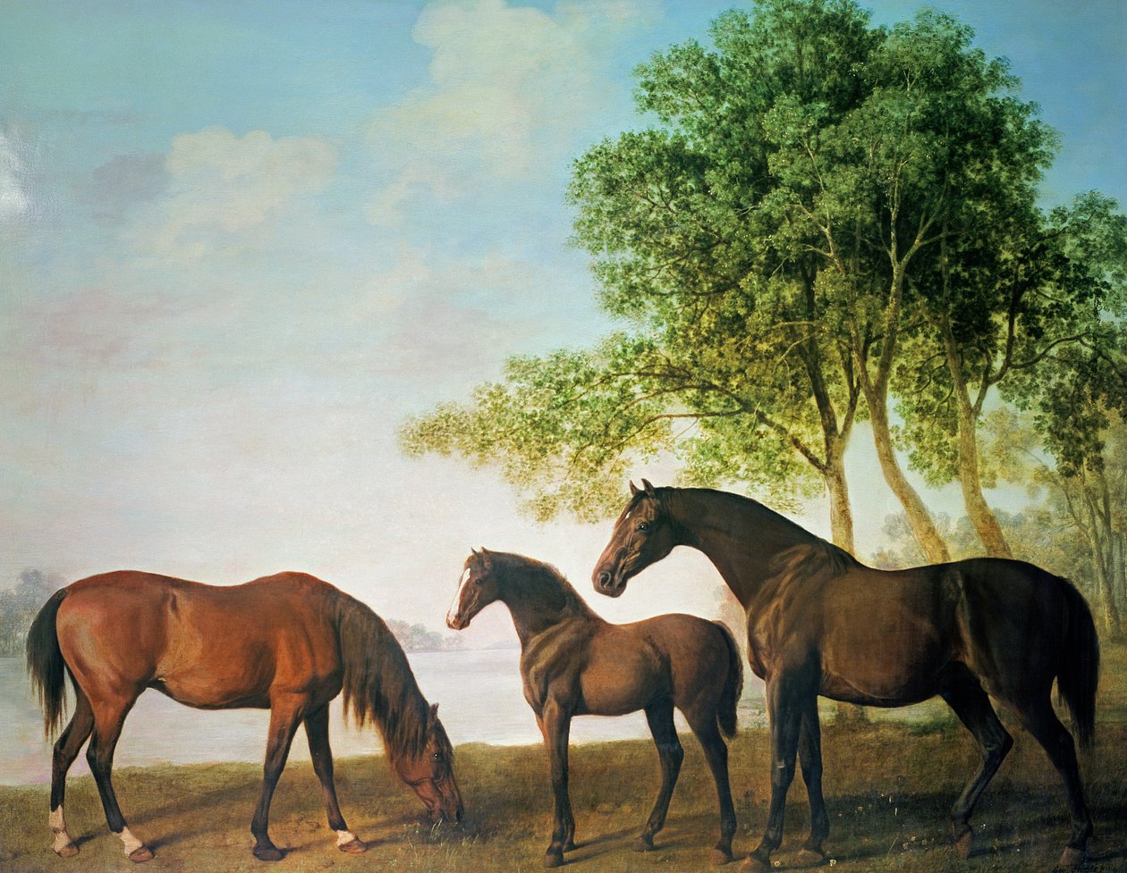 Shafto Mares ve Bir Tay by George Stubbs
