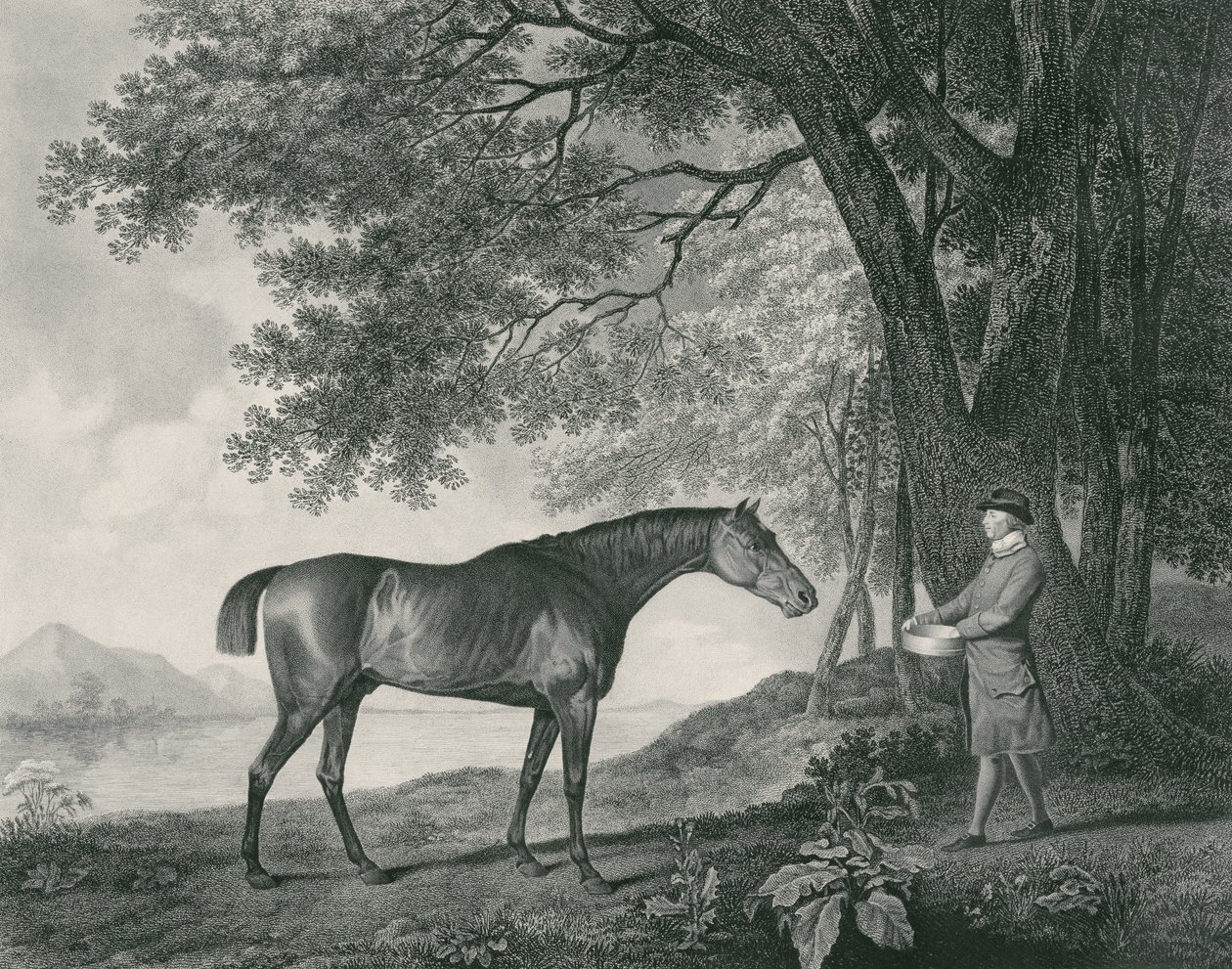Sharke, George Townley Stubbs (1756-1815) pub tarafından oyulmuş. 1794 (gravür) by George Stubbs