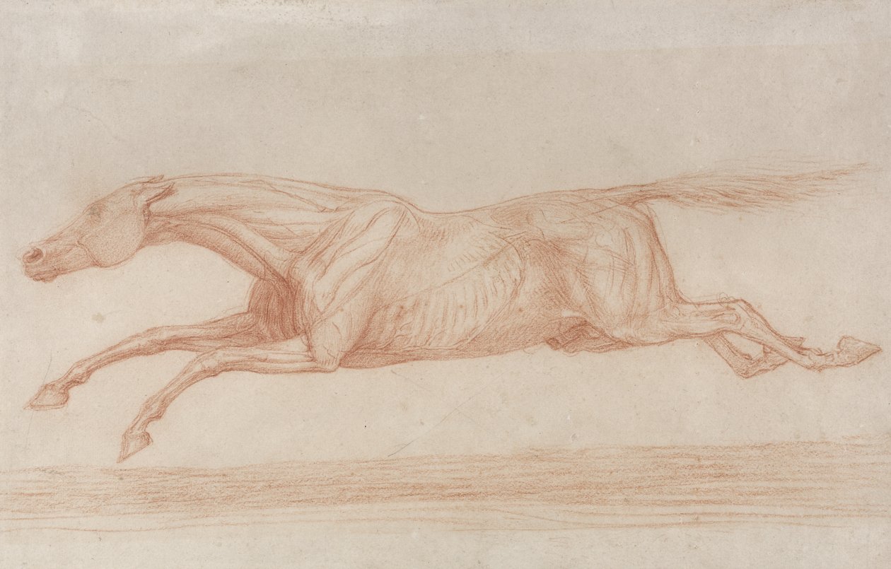 Eylemde Bir Yarış Atının Çalışması: sola dörtnala (devetüyü kağıt üzerinde kırmızı tebeşir) by George Stubbs