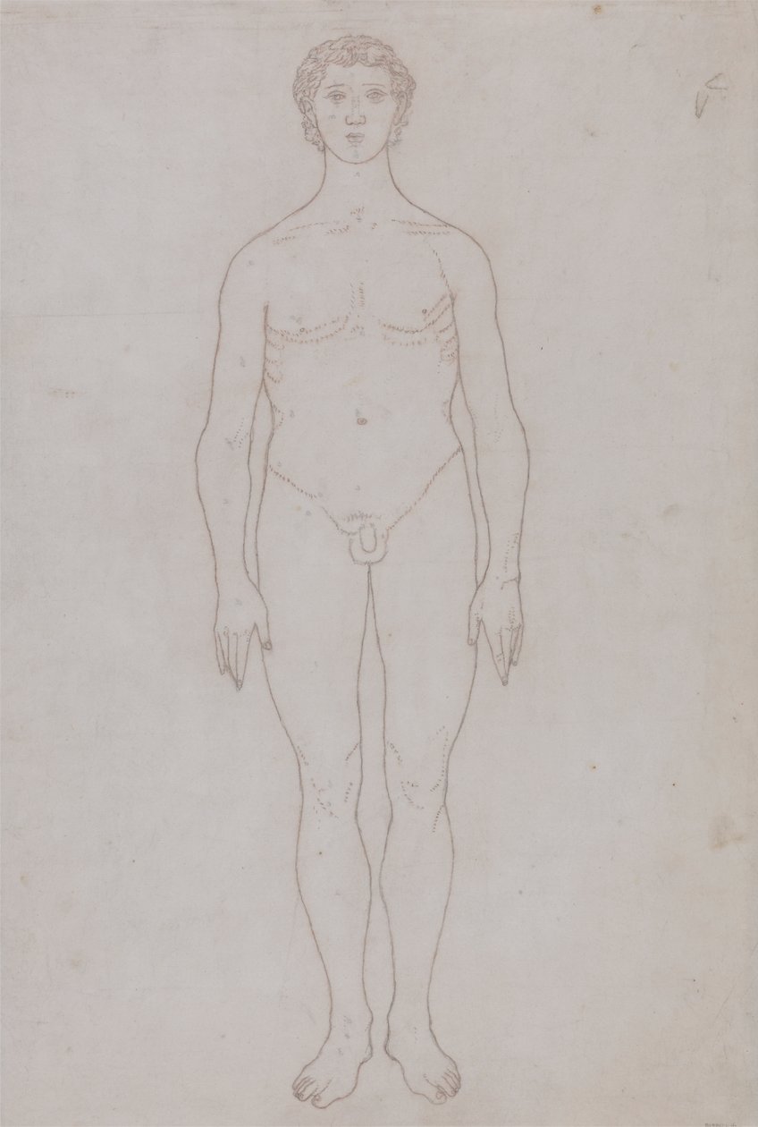 İnsan Figürü Çalışması, Önden Görünüm (Tablo VI için Anahat Çizimi) by George Stubbs