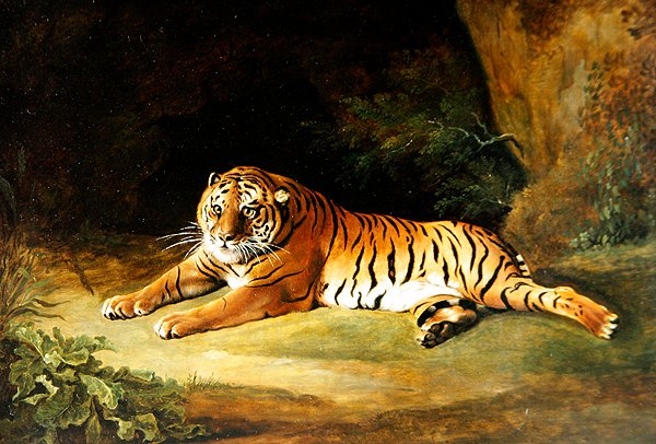 Kaplan (tuval üzerine yağlı boya) by George Stubbs
