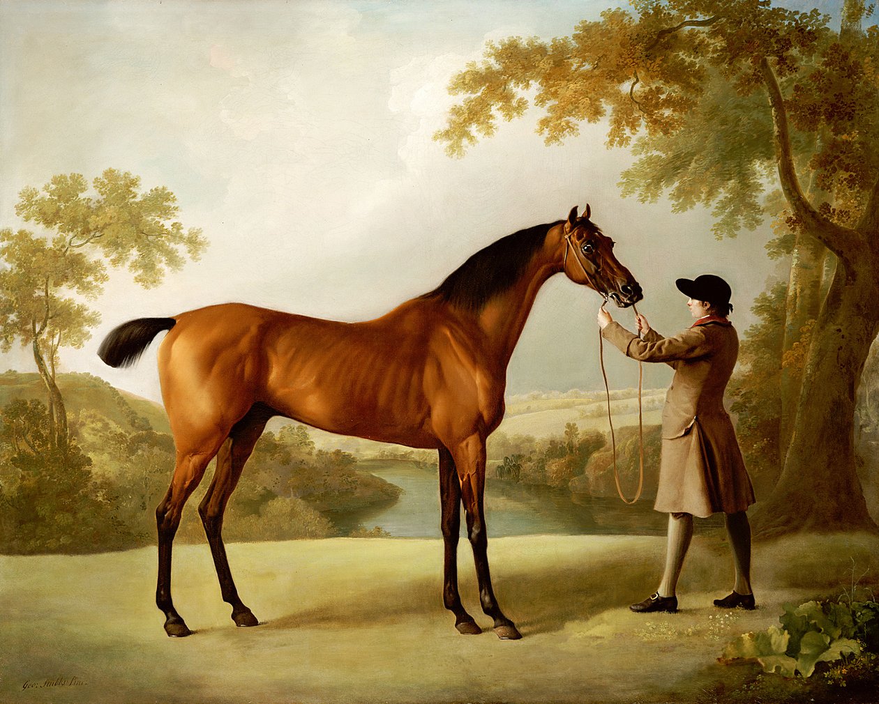 Tristram Shandy, Geniş Bir Manzarada Bir Damat Tarafından Tutulan Körfez Yarış Atı, c.1760 by George Stubbs