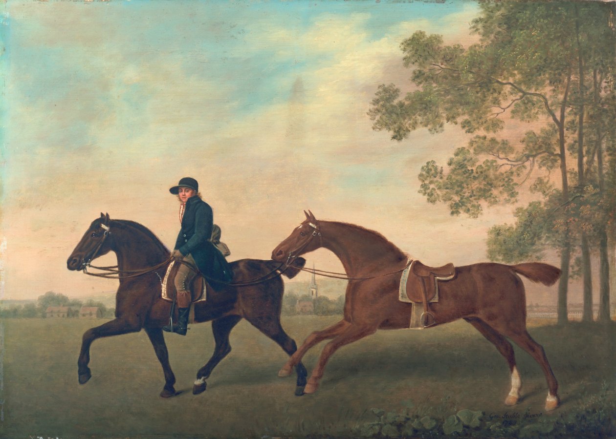 İki Hack, 1789 by George Stubbs