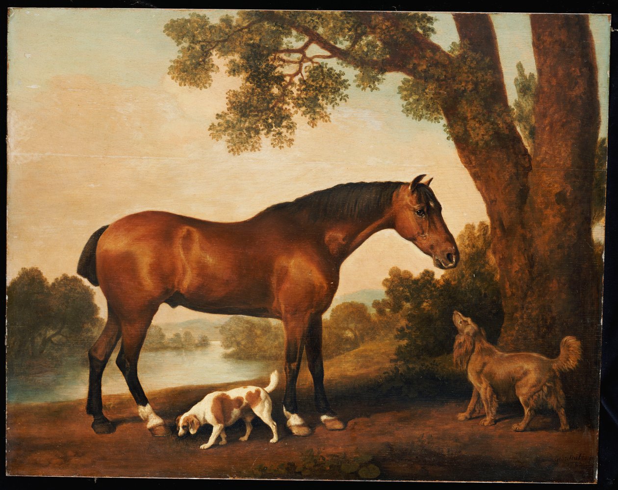 Bilinmeyen resim by George Stubbs