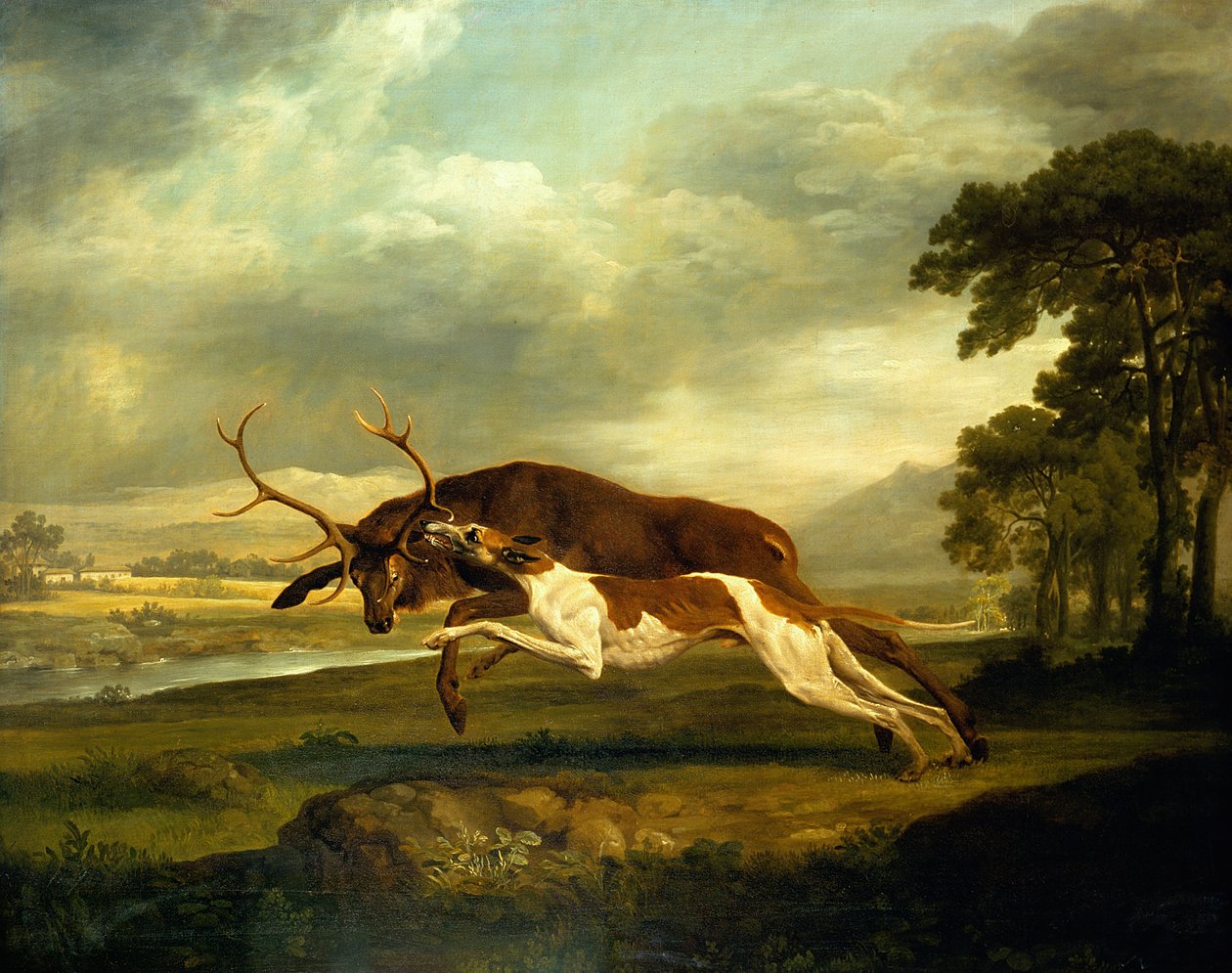 Bilinmeyen resim by George Stubbs