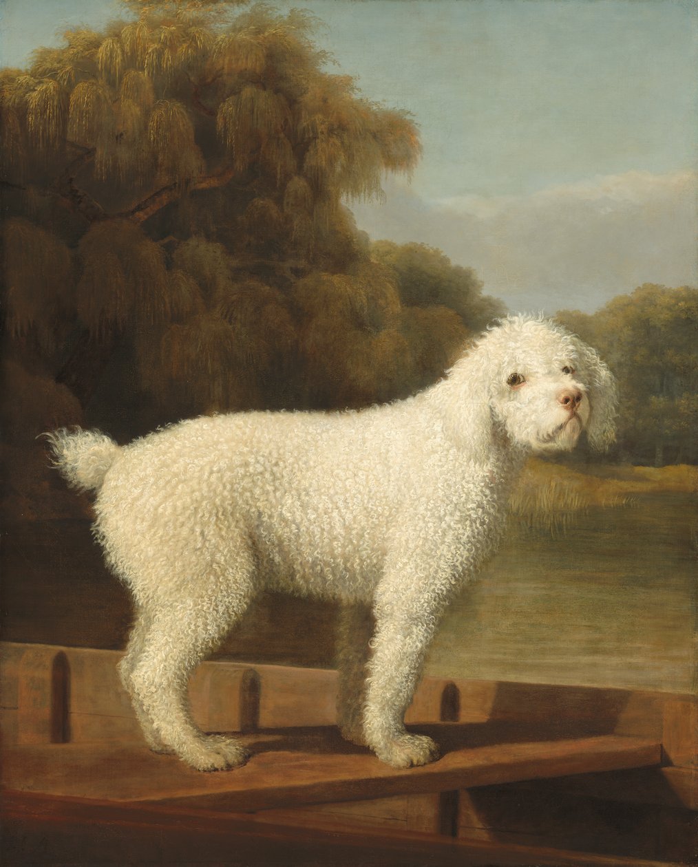 Punt