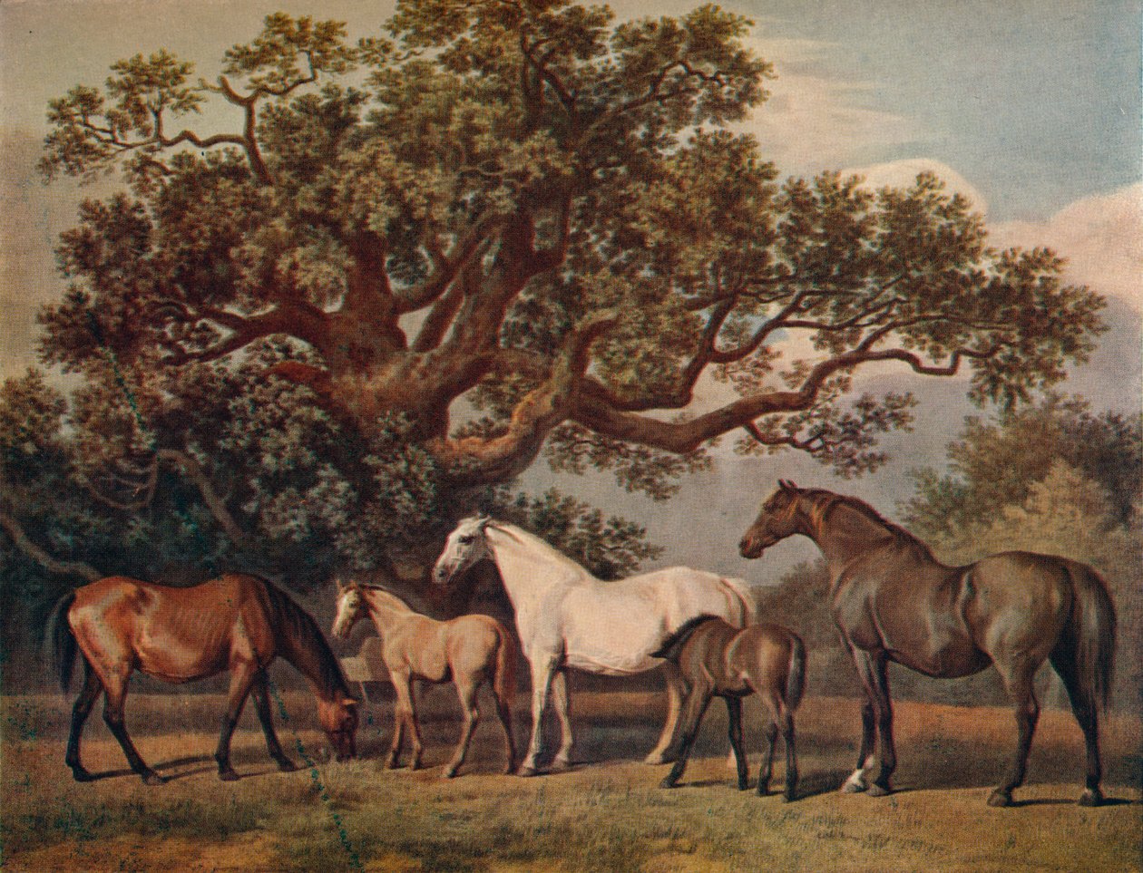 Brood Mares ve Foals, 18. yüzyılın sonları, 1922 by George Townley Stubbs