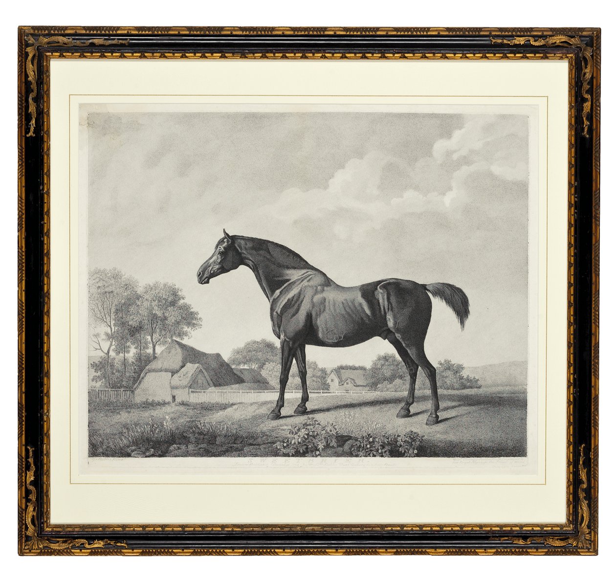 Sweetbrier (nokta gravürü) by George Townley Stubbs
