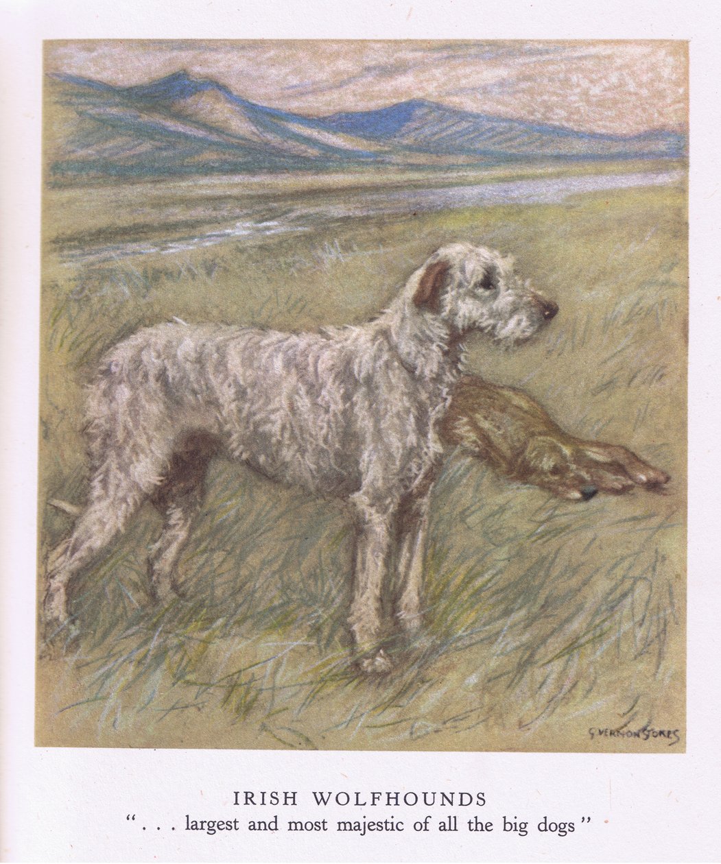  by George Vernon Stokes