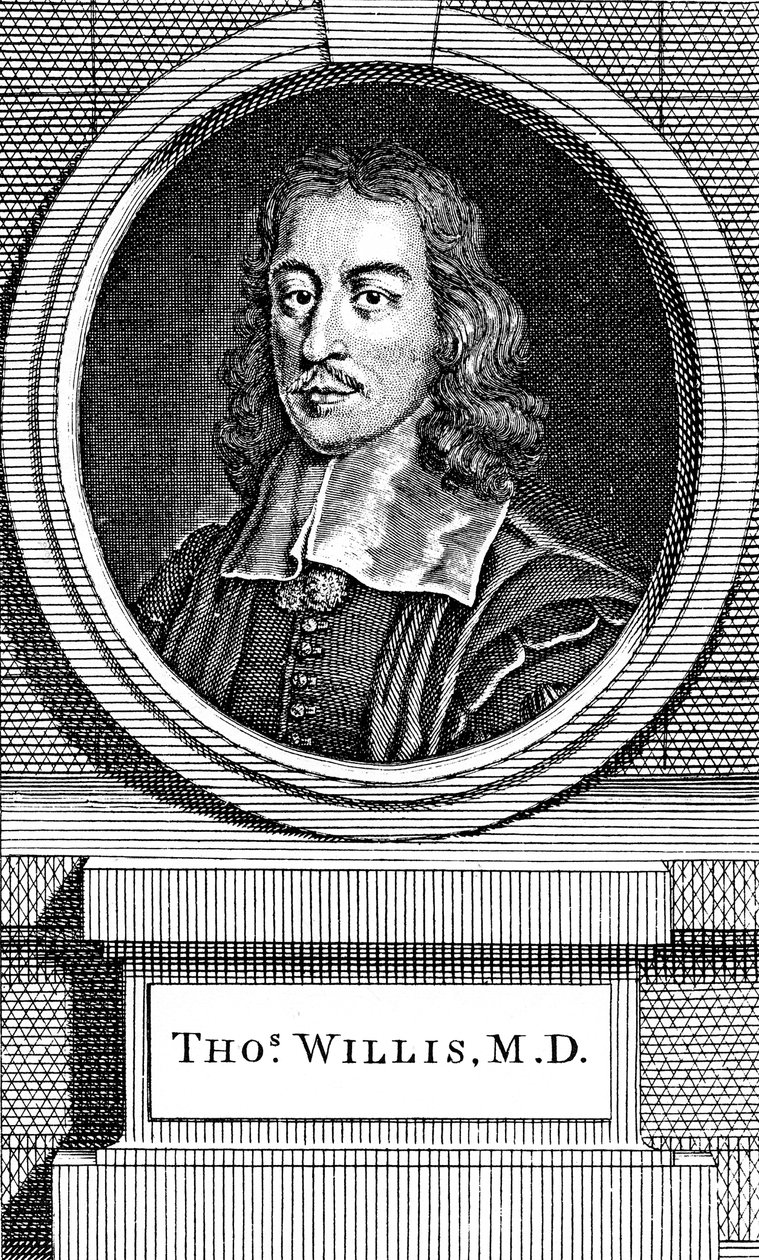 Thomas Willis, 17. yüzyıl İngiliz doktoru, 1742 by George Vertue