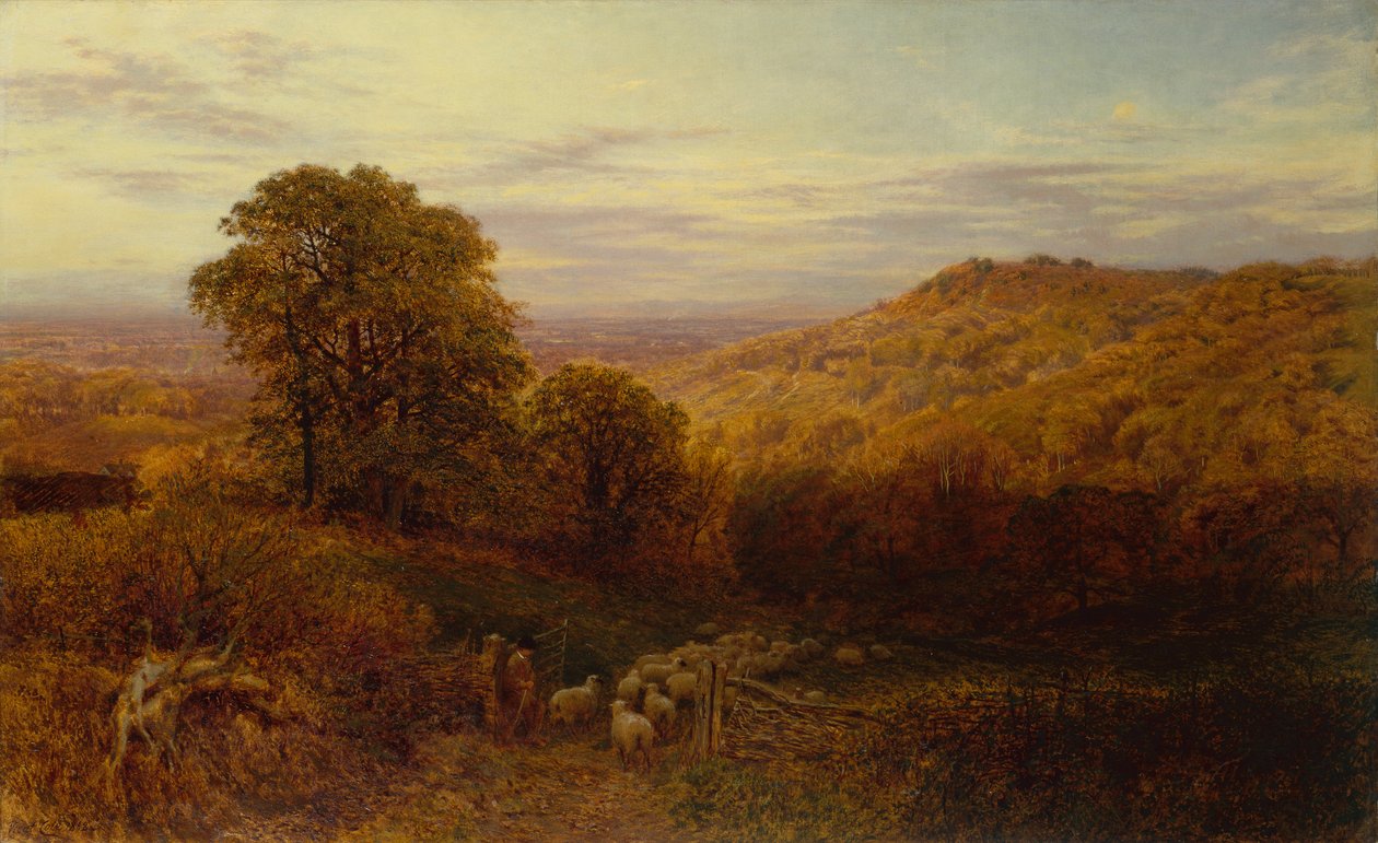 Sonbahar Ormanlarında Kalan Güneş Işığı (tuval üzerine yağlı boya) by George Vicat Cole