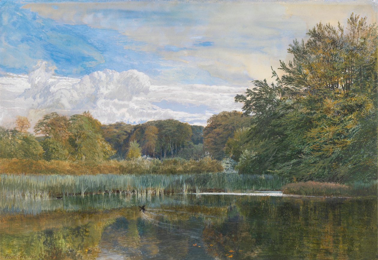 Değirmen Göleti, Evelyn Woods by George Vicat Cole