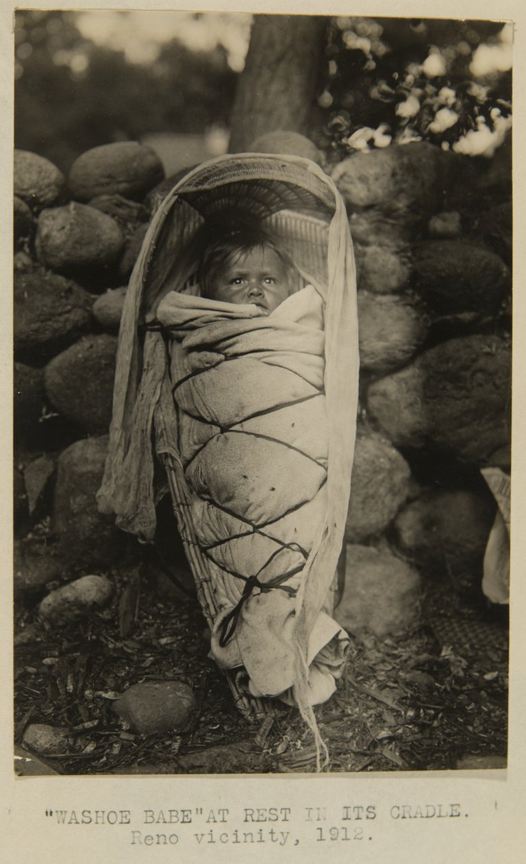 "Washoe Babe" beşiğinde dinleniyor. Reno civarı by George W. Ingalls