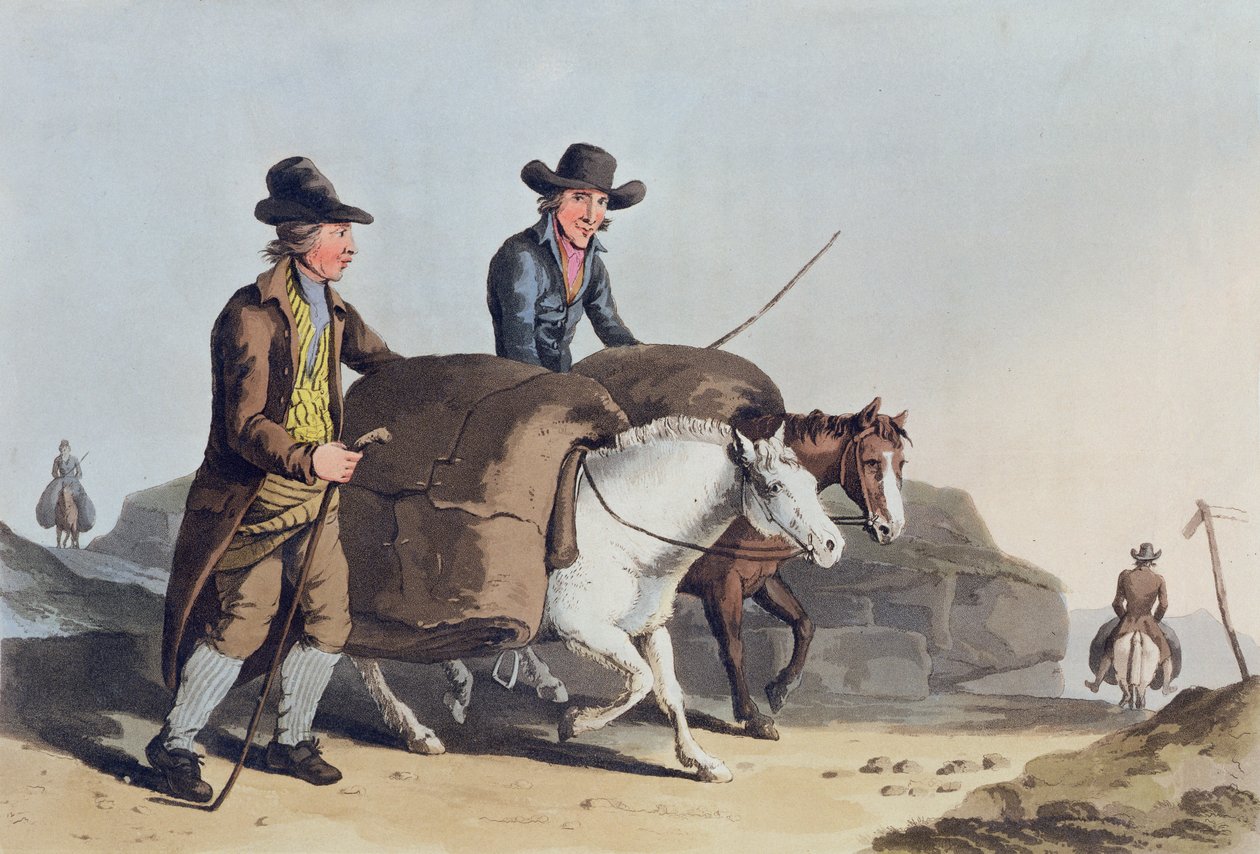 Robert Havell (1769-1832) 1814 tarafından oyulmuş 